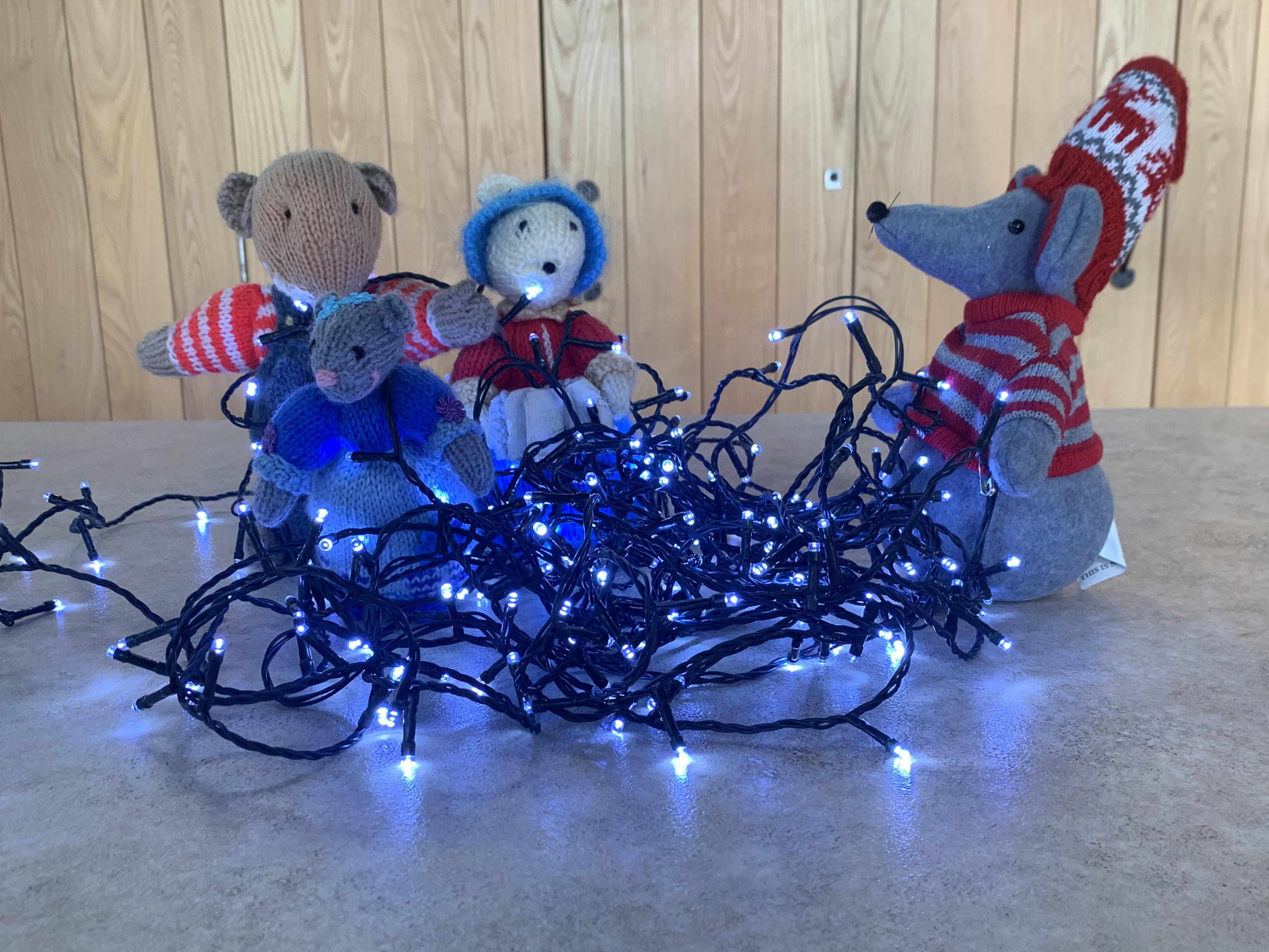 Hattie tied up in lights